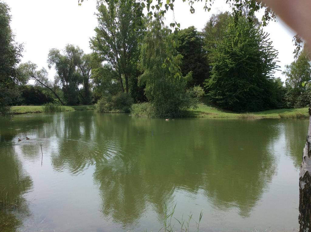 Camping Du Ried Boofzheim Buitenkant foto